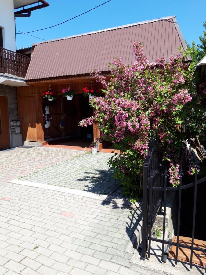 Ferienwohnung Pod Tatarska Gora Biały Dunajec Exterior foto